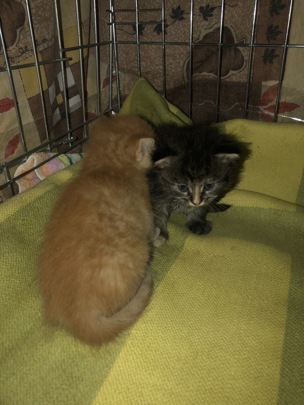 94C5A6D3-9E53-4571-8AFA-7E59A8F60213