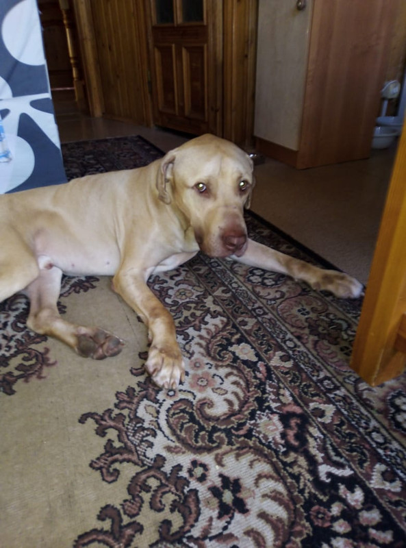 2B8CE44E-6E93-4A18-B665-99F1C5D1E957