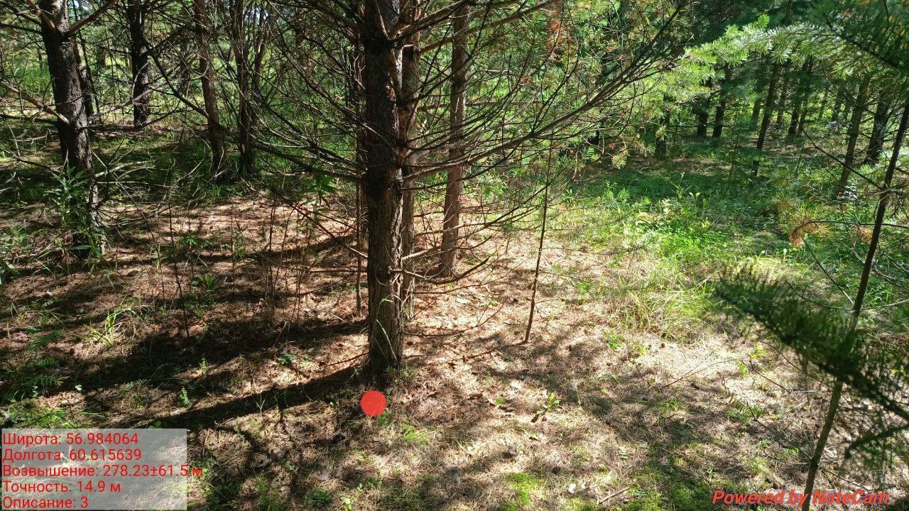 IMG 20251208 121109 117