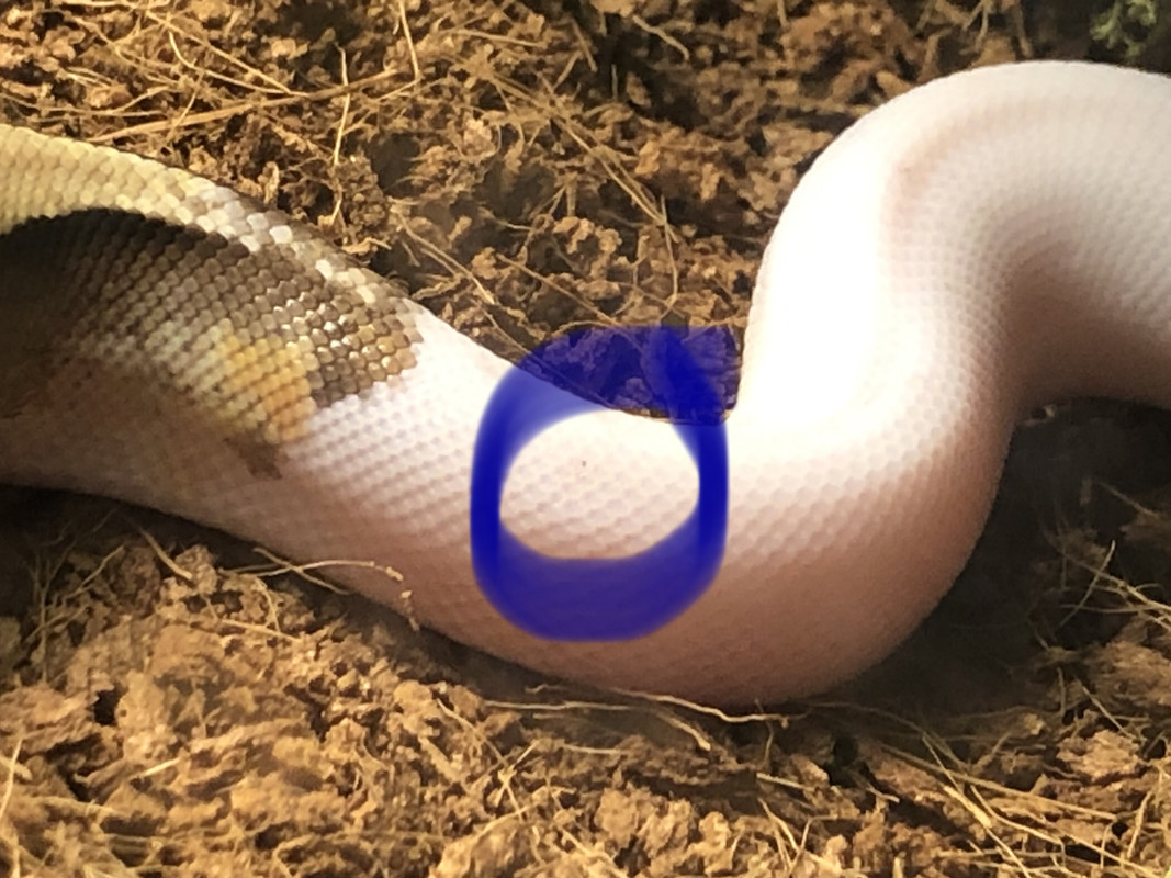 07957028-F694-4681-AF62-F0219947AD46