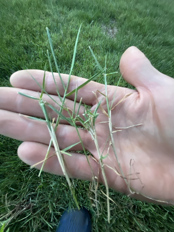 9D6BC5DF-6538-418C-8F44-51B40E6E1227