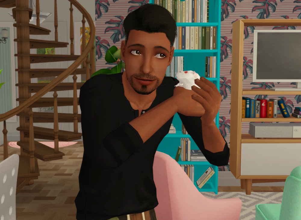 Sims2-EP9-RPC-2022-01-12-20-00-35-73