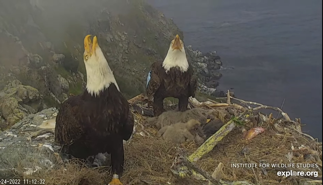 F2A1680F-E244-41E2-A32D-87C758C6111E