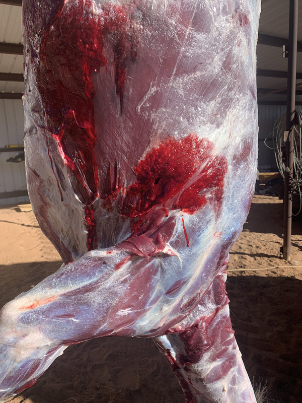 FF946559-EFED-4F97-8D00-F1302831E54D