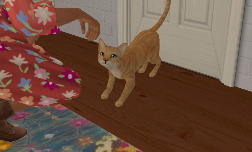 Sims2-EP9-2021-02-18-21-45-17-70