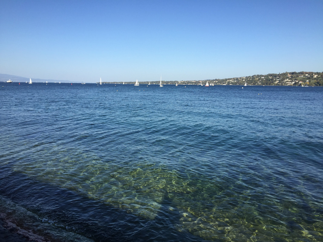 7EF29B98-22C5-496F-8C00-ADD35F5A1BDB