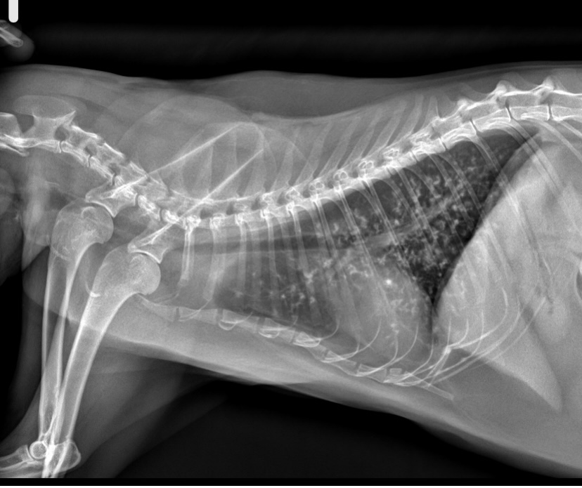 4D933959-85F1-470D-9595-BFD149863960