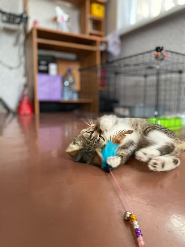 8CEAE403-E97B-4091-AB05-3642AE022CDB