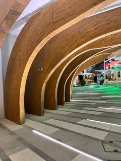 Expo 2020 de Dubai, un viaje de diez - Blogs de Emiratos A. U. - EXPO 2020 DE DUBAI:HAZAÑAS DE INGENIERÍA,50 ANIVERSARIO DE LOS EAU Y FIN PARTE I (3)