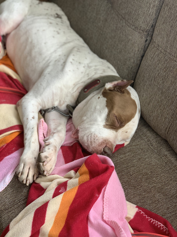 54BB077E-2DA6-4BAA-9DFB-C24B6653536B