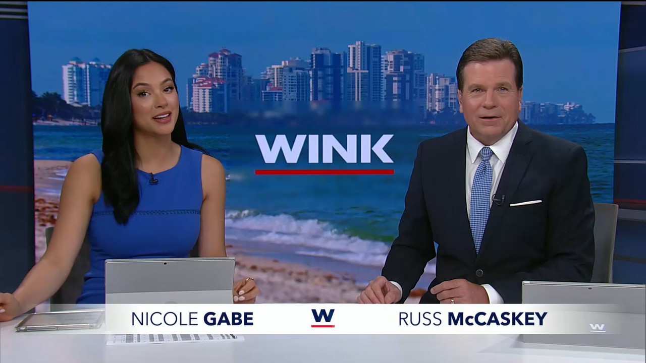 04.05 - 20.00.01 - WINK News at 3pm.   Category  News.      EPG Credi....ts_snapshot_00.37.54.566