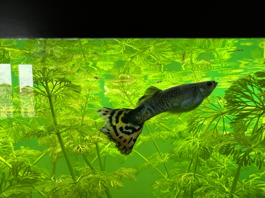 C7E263E9-FFDE-4E5A-AA6D-F18E11216F4D