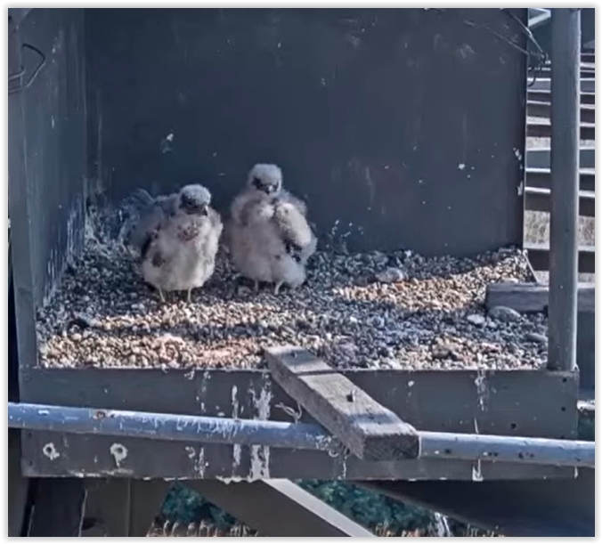 Screen Shot 07-30-22 at 09.04 AM