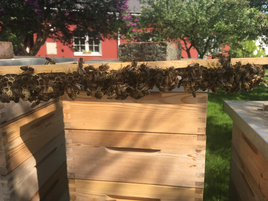 B994EED4-5EBB-4AF4-BE1C-0AC5097C3D6D