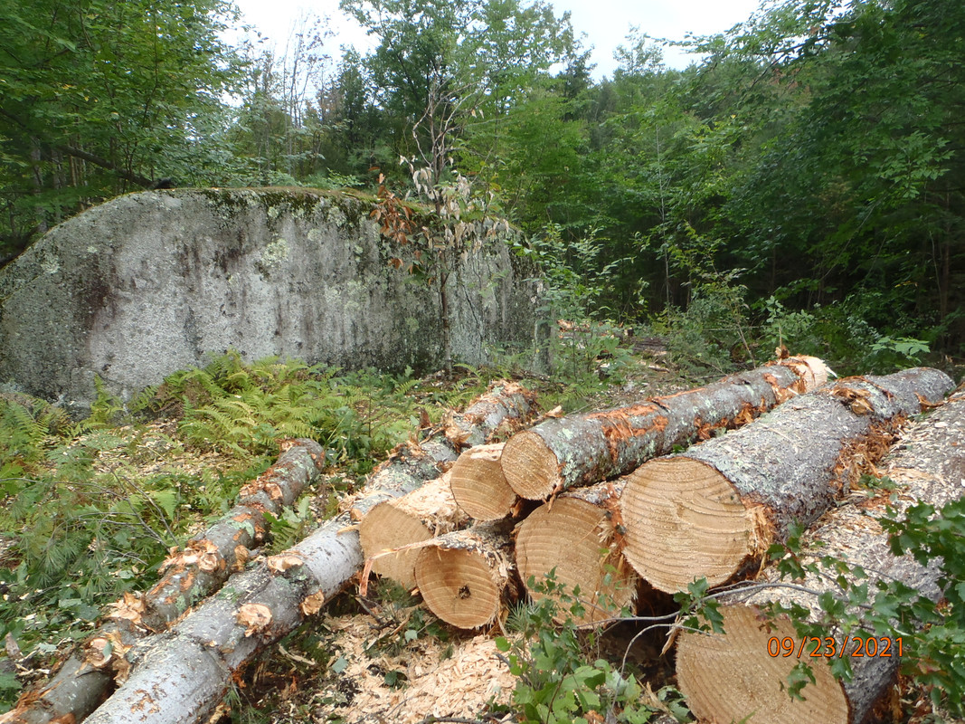 P9234036.jpg