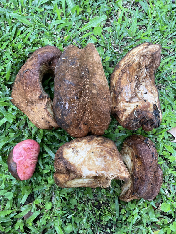 98AFF02B-E0DF-45ED-A9BC-1D830F8612ED