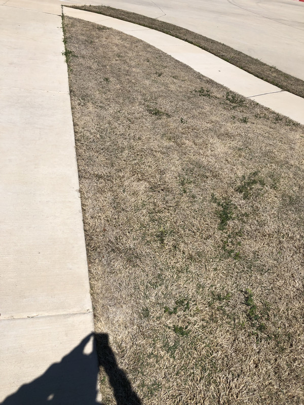 When is best time to apply postemergent herbicide Lawn Care Forum