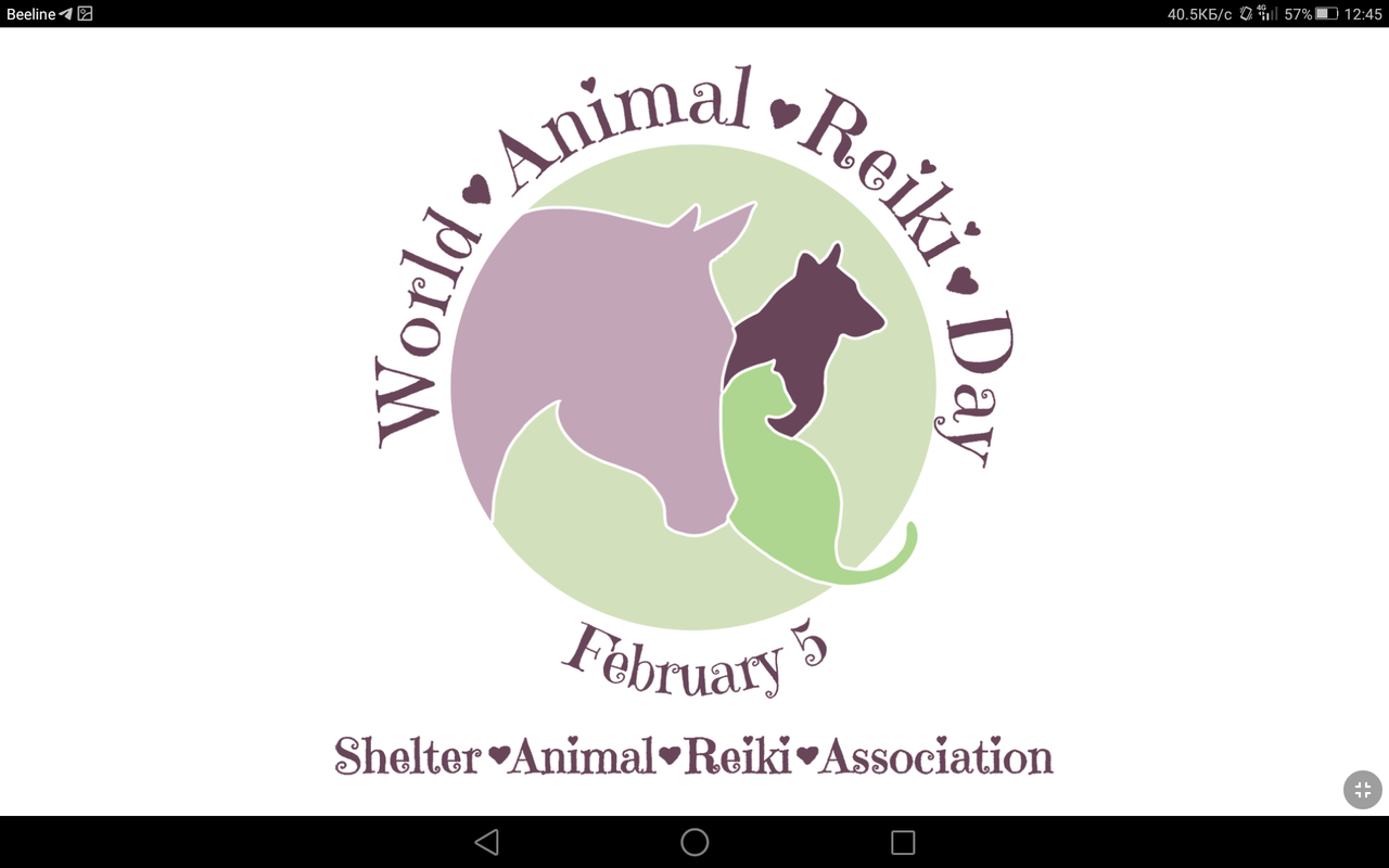 Screenshot_2023-02-05-12-45-13