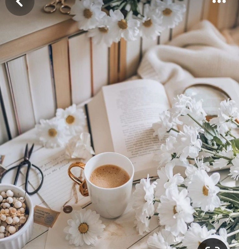 Screenshot_20230913_174026_Pinterest