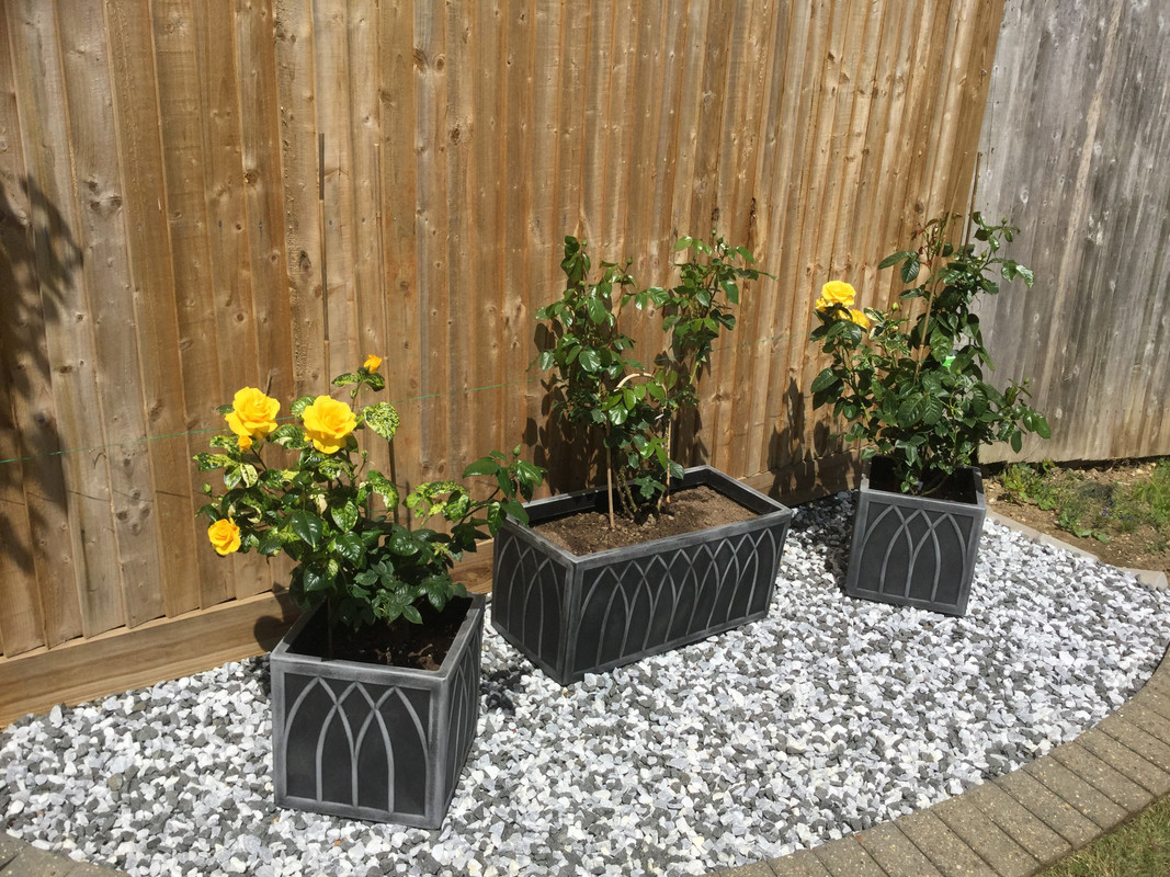 A64B1D88-185D-4932-B3FD-26E2A1C4496E