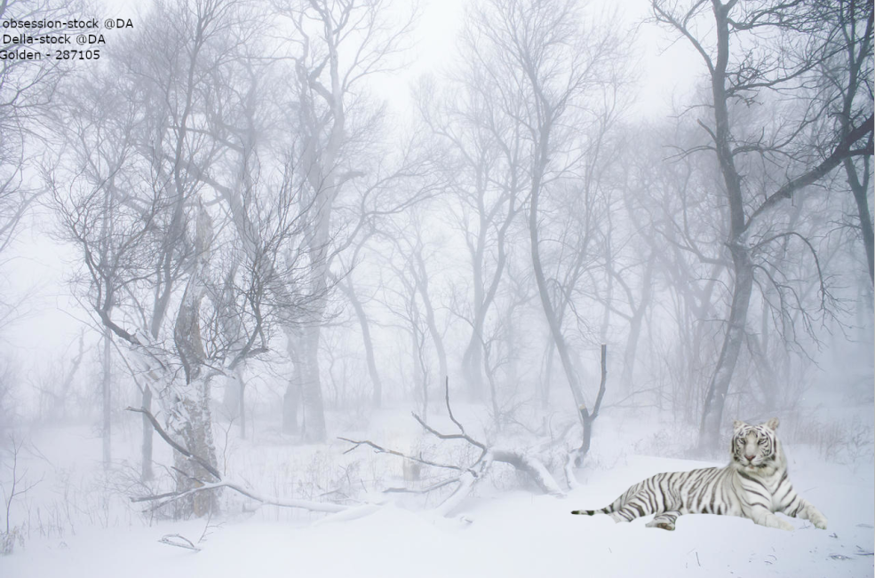 snow-tiger.png