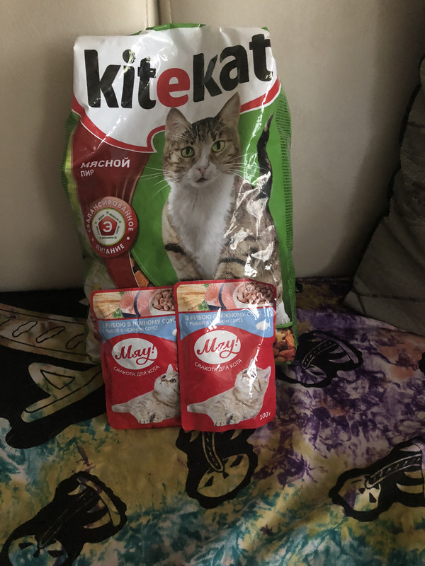 CB6229D9-A8CE-4936-A7E1-1656AADEA129