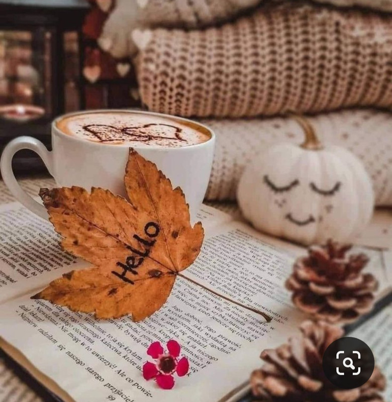 Screenshot_20231031_172335_Pinterest