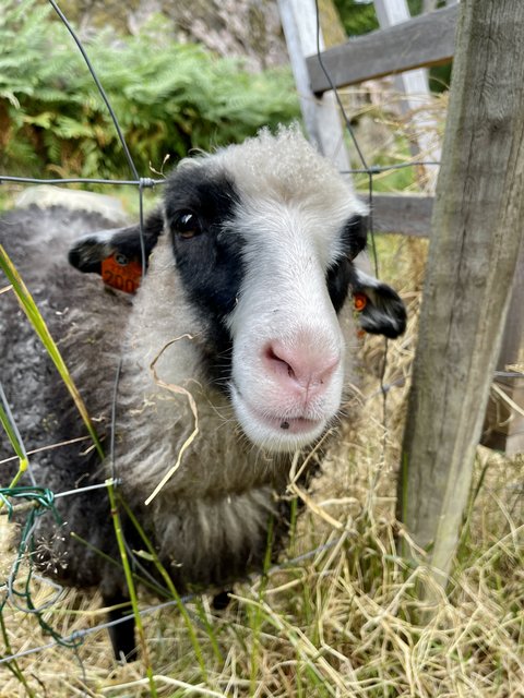 [Linked Image from i.postimg.cc]