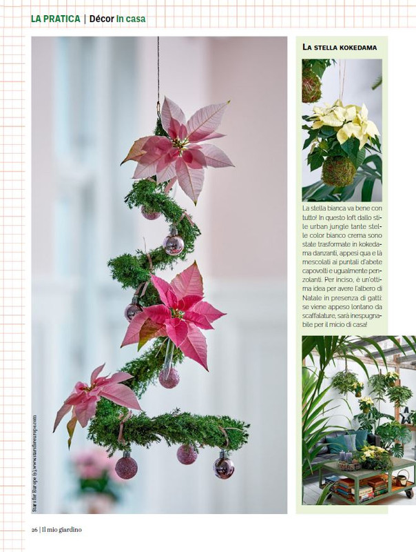 Il Mio Giar Dic 2023-Gen 2024 (5)