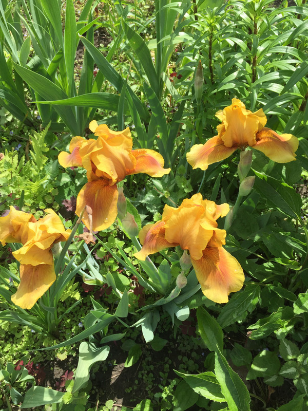 C9A11D5B-3702-47BF-89AF-4BF2D47F5DD7