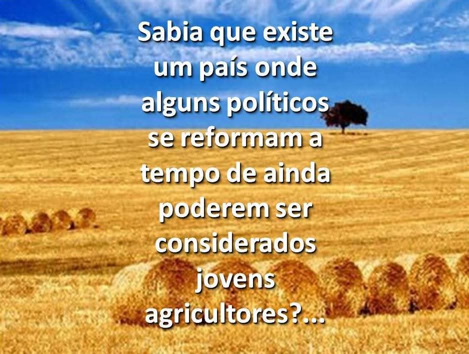 FB-IMG-1762457104630.jpg
