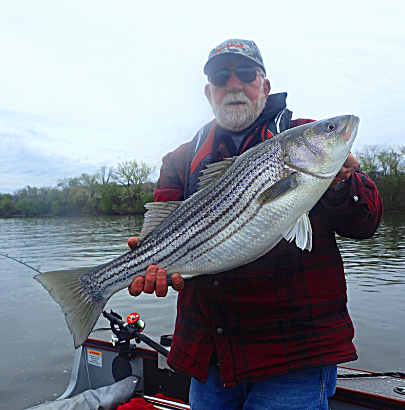 striper #2 May 6, 2022