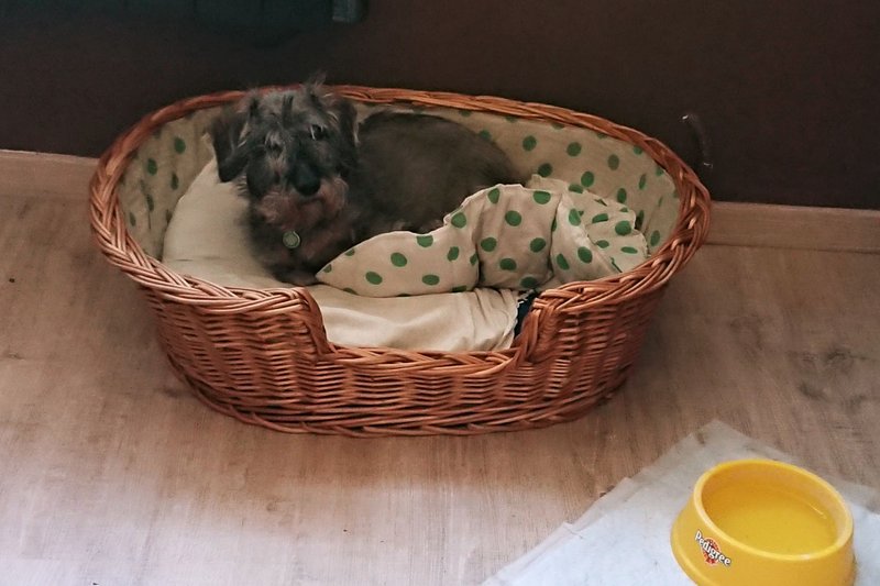 [Image: DSC-2102.jpg]