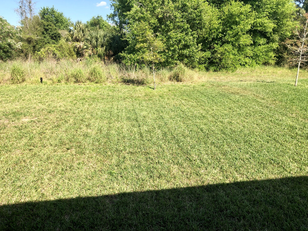 E3F47AE0-088A-4359-97DB-959483AE6D80