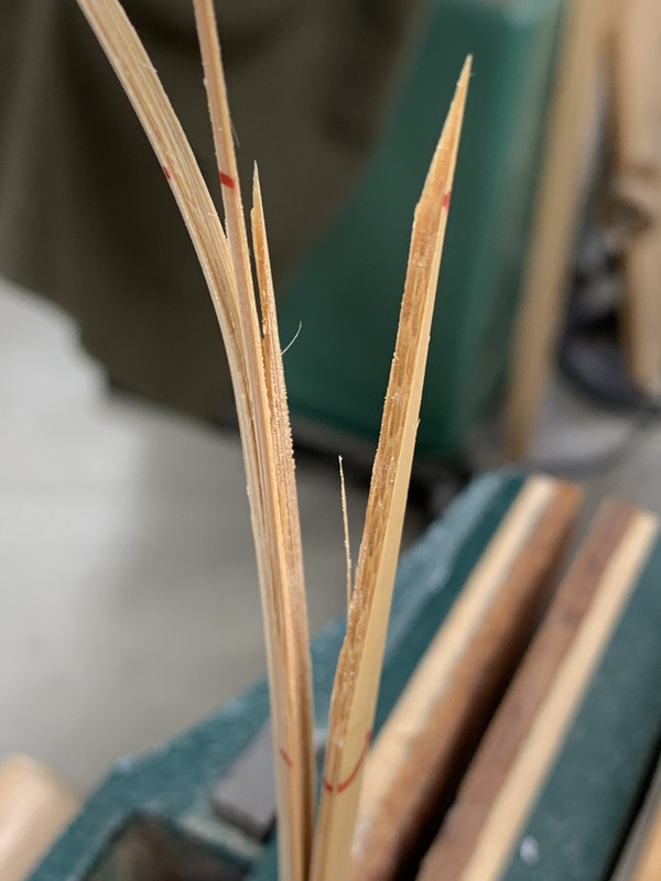 F497D2BC-814F-42D9-97E9-30891A12B09B