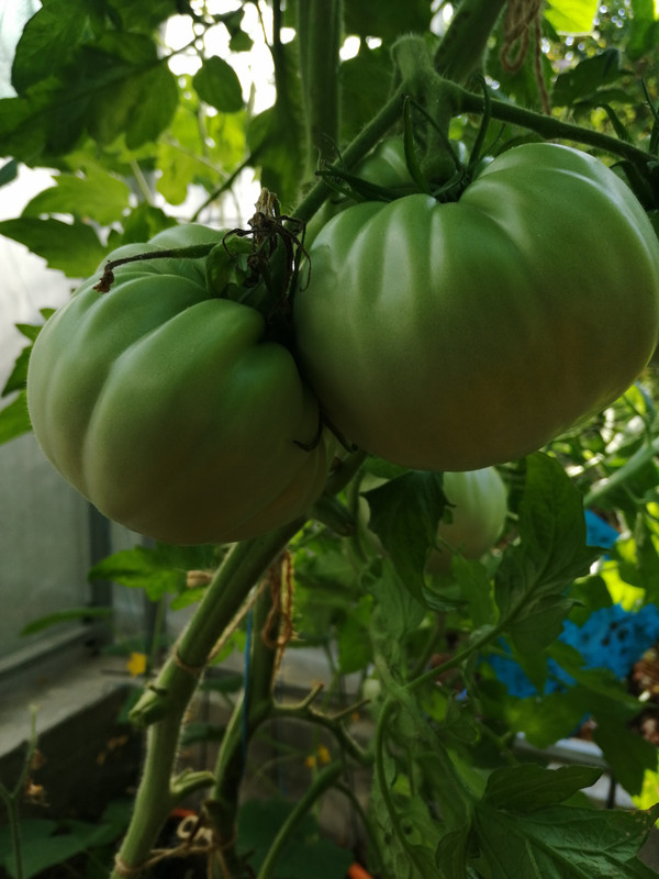 IMG_20230723_090622