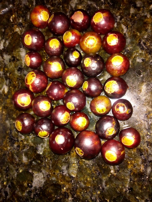 WhatsApp Image 2020-12-20 at 00.58.58 (35)