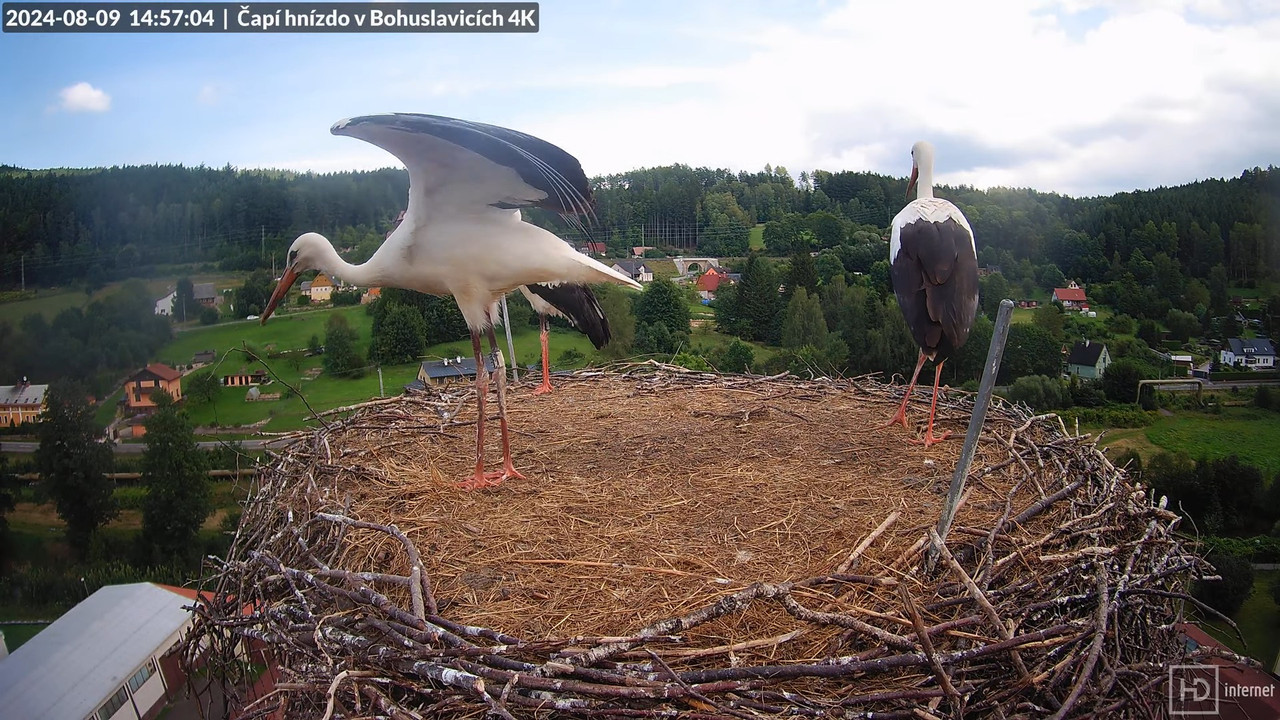 Tiešraidē no uzņēmuma KARA stārķa skursteņa Bohuslavicē pie Trutnovas 13-31-43 screenshot