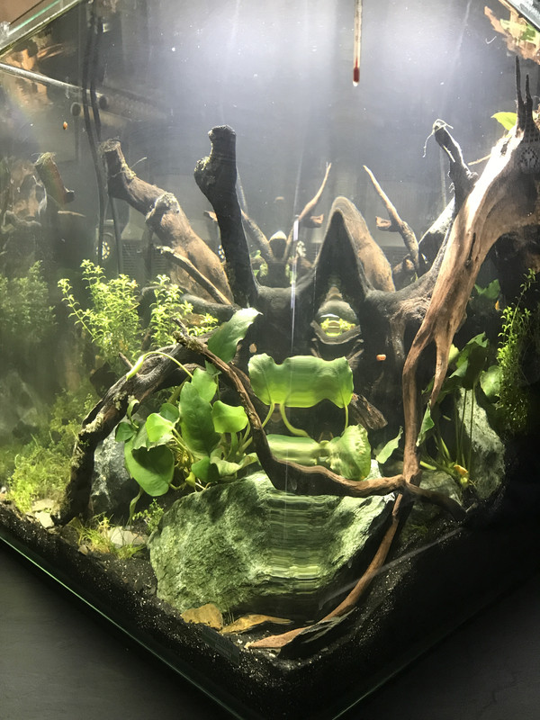 7E722E4F-852A-46D0-A329-18863A5072D0