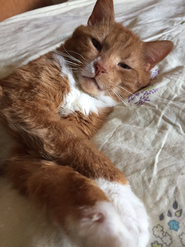 227C3495-8161-4FC0-86B8-CBF4E5363650