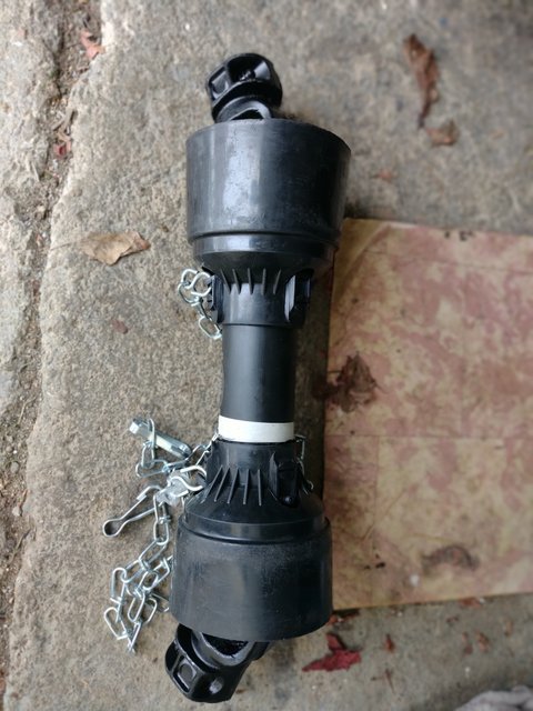 IMG_20241207_123130693_MF_PORTRAIT