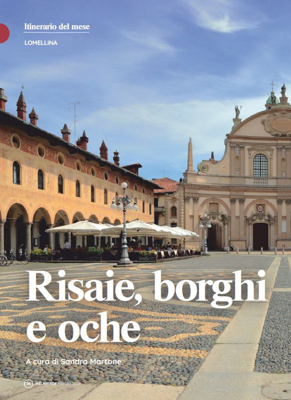 melaverde Mar 2023 (5)