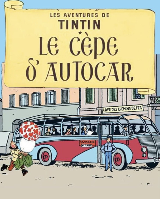 Les aventures de Tintin (détournement) - Page 3 2024-04-18-tintin-01