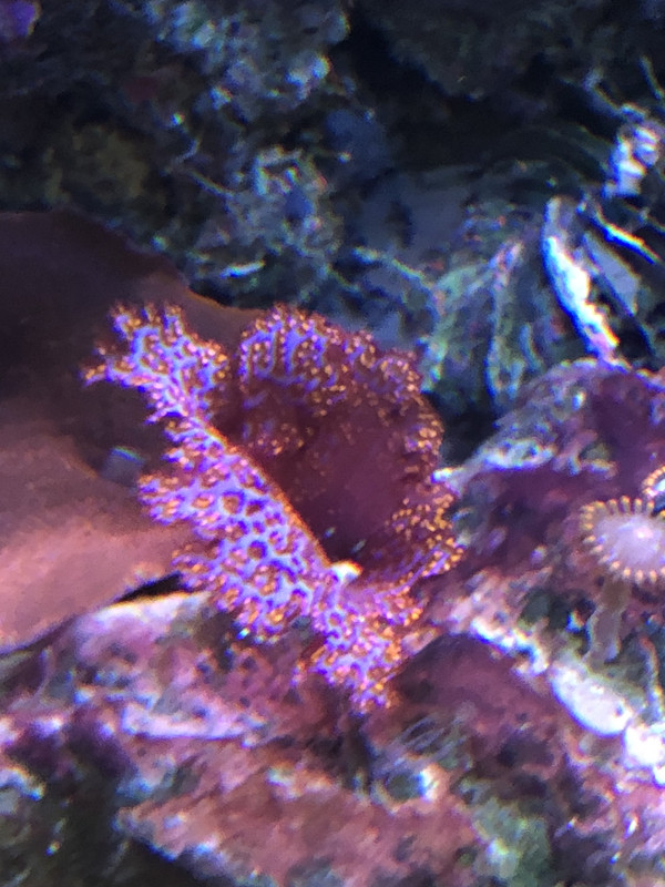 517D5C62-3325-4A2D-A60B-C009BC6B3A25