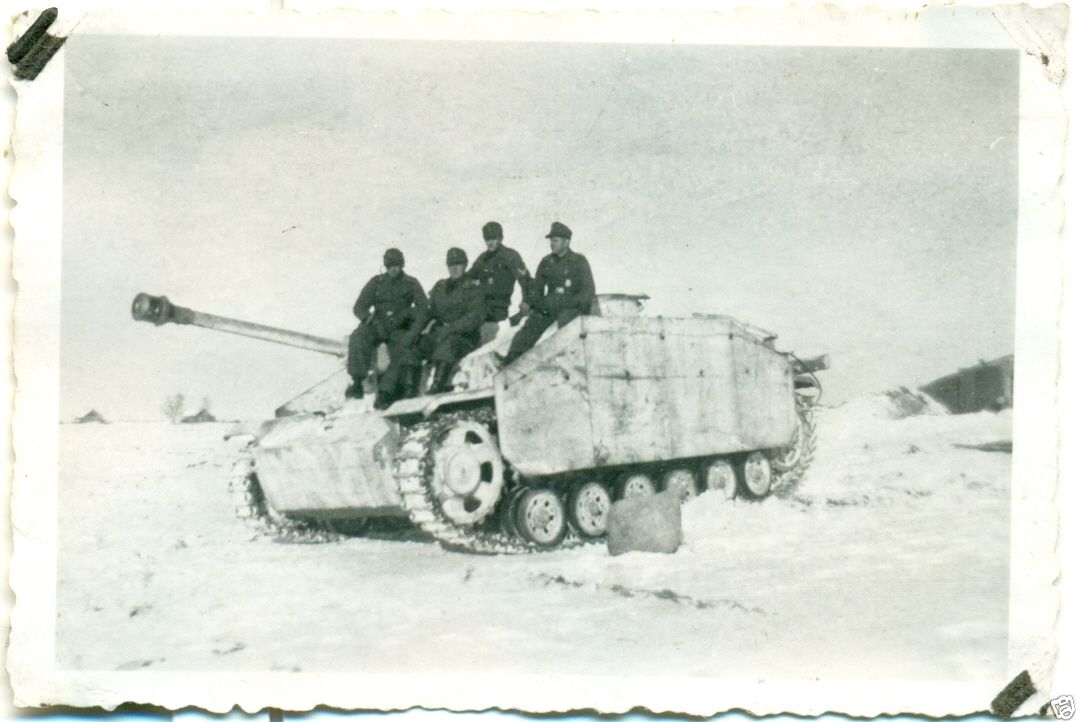 STURMGESCHÜTZ - LANGROHR   SEITENSCHUTZ - WINTER