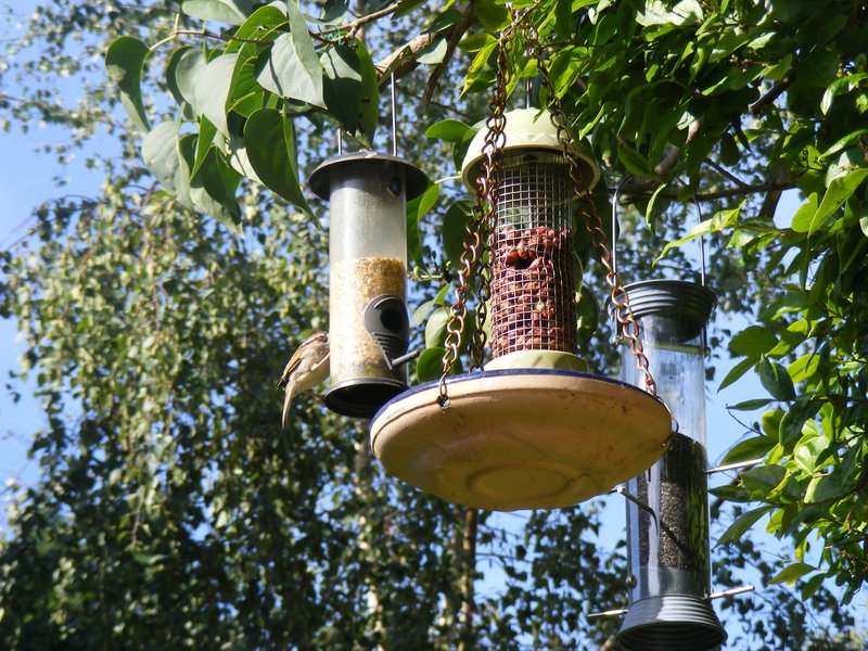 DSCF4062.jpg