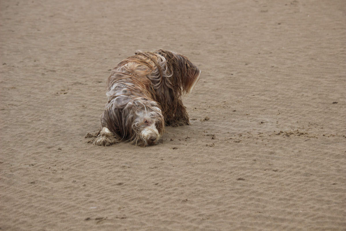 DF895C88-9D74-4BA7-A999-1DBEF791CB51