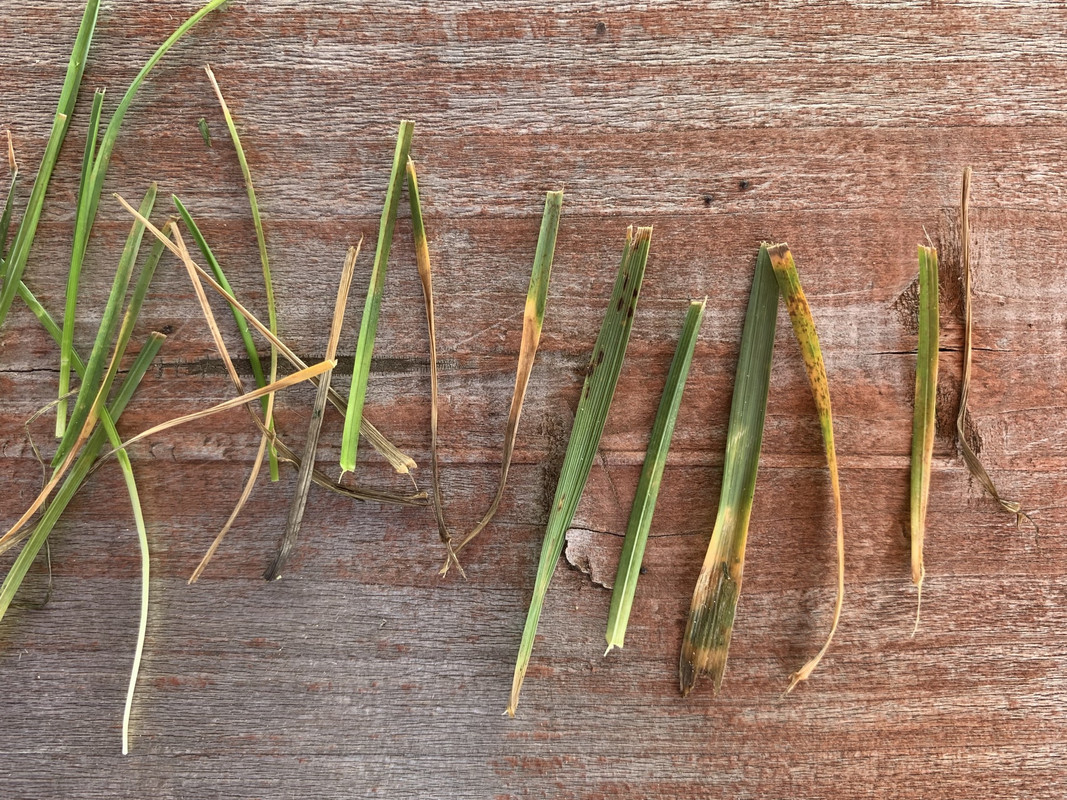 78456CA7-819C-4729-8EA2-C54E215F5EAE