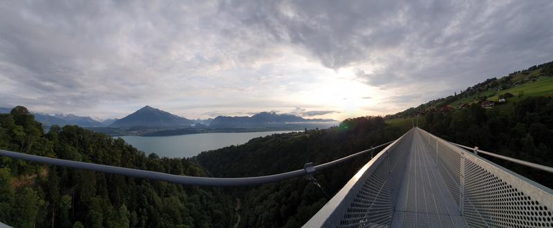 CÓMO SUIZA NOS ATRAPA POR 5º VERANO CONSECUTIVO + CARENNAC Y LOUBRESSAC - Blogs of Switzerland - WILDERSWIL Y SIGRISWILL...con puente colgante incluido (5)