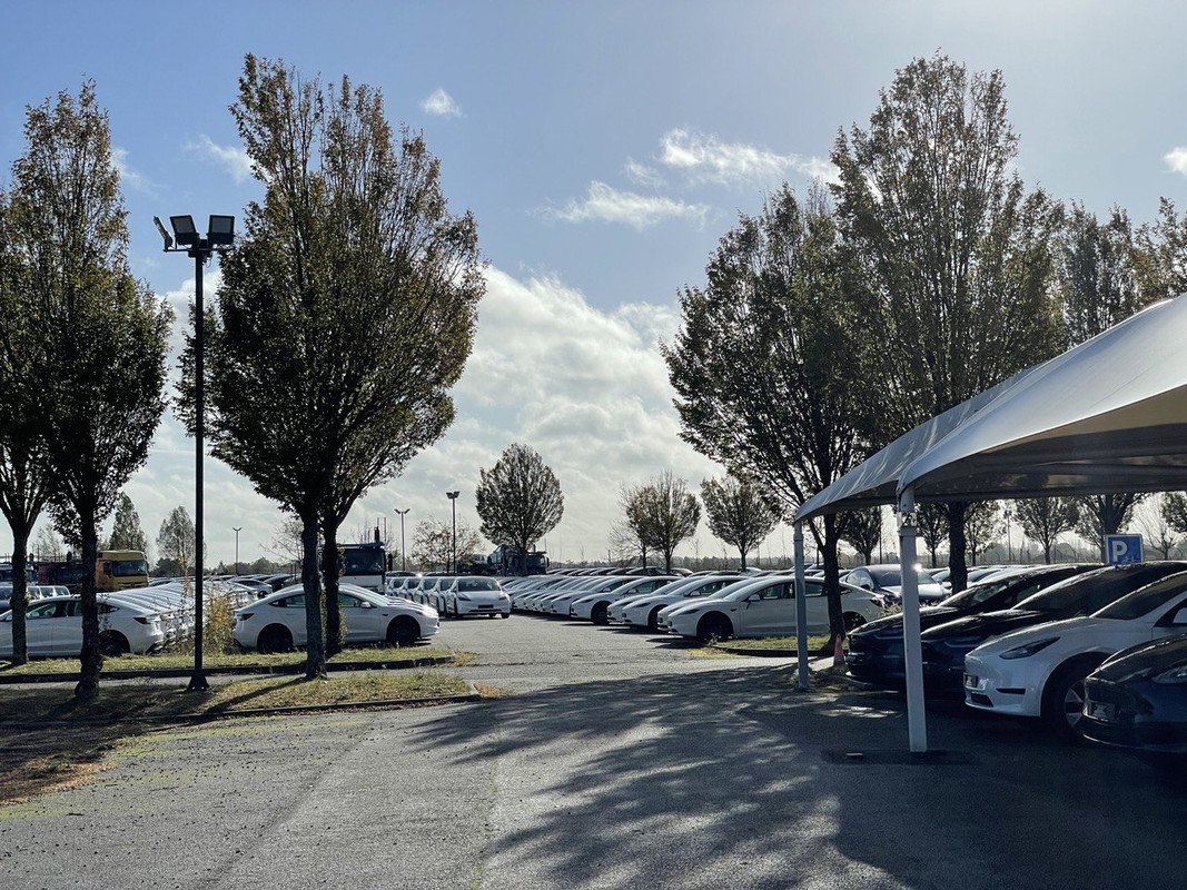 photo_2023-11-07_18-27-25